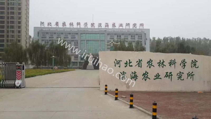 河北唐山密集柜安装完毕